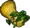 squashmassive