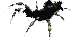 Swamp Spider