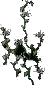 Wallflower3
