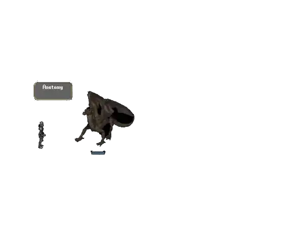 wiki anatomya