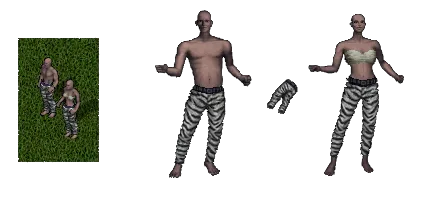wildstripepants