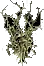 Winterthorn4